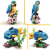 LEGO Creator 31136 eksotisk papegøye